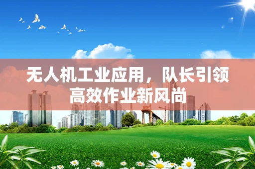 无人机工业应用，队长引领高效作业新风尚