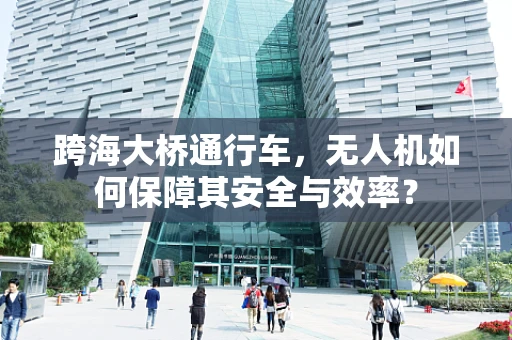 跨海大桥通行车，无人机如何保障其安全与效率？