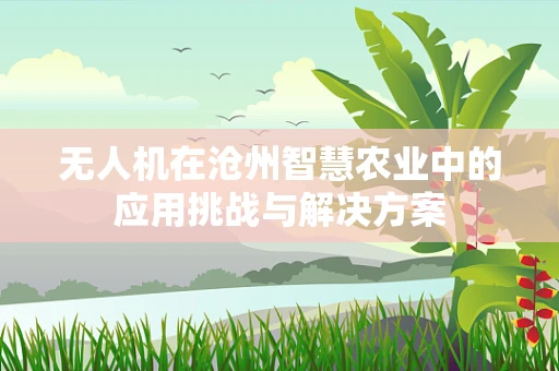 无人机在沧州智慧农业中的应用挑战与解决方案
