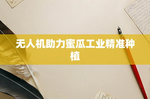 无人机助力蜜瓜工业精准种植
