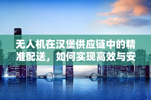 无人机在汉堡供应链中的精准配送，如何实现高效与安全？