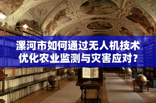 漯河市如何通过无人机技术优化农业监测与灾害应对？