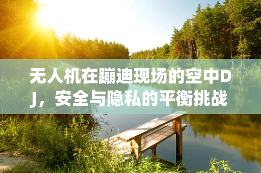无人机在蹦迪现场的空中DJ，安全与隐私的平衡挑战