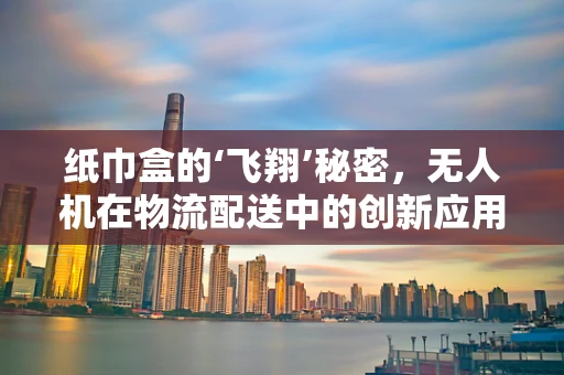纸巾盒的‘飞翔’秘密，无人机在物流配送中的创新应用？