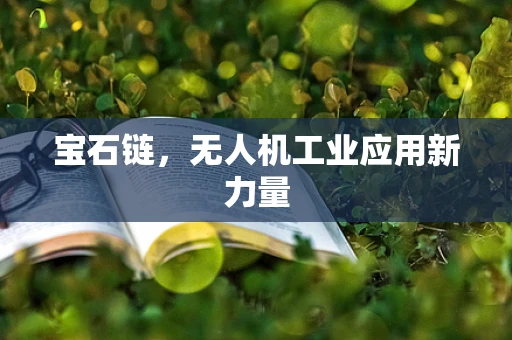 宝石链，无人机工业应用新力量
