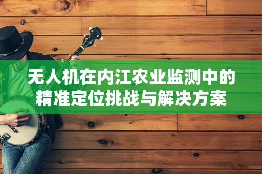 无人机在内江农业监测中的精准定位挑战与解决方案