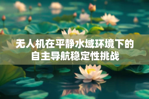 无人机在平静水域环境下的自主导航稳定性挑战