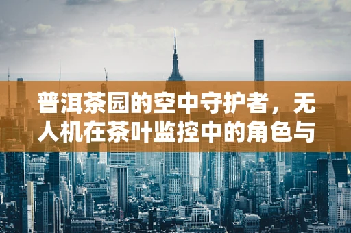 普洱茶园的空中守护者，无人机在茶叶监控中的角色与挑战