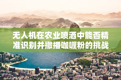 无人机在农业喷洒中能否精准识别并撒播咖喱粉的挑战？