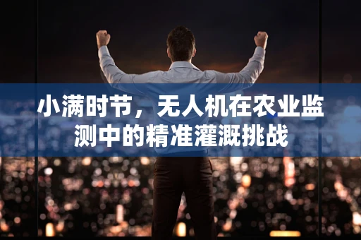 小满时节，无人机在农业监测中的精准灌溉挑战