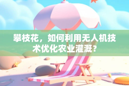攀枝花，如何利用无人机技术优化农业灌溉？