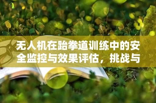 无人机在跆拳道训练中的安全监控与效果评估，挑战与机遇