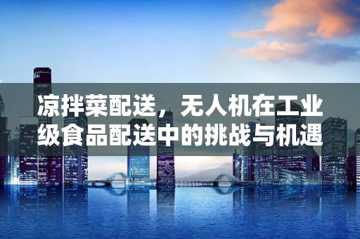 凉拌菜配送，无人机在工业级食品配送中的挑战与机遇？