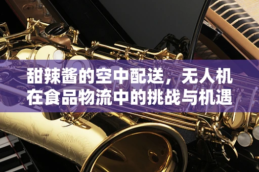 甜辣酱的空中配送，无人机在食品物流中的挑战与机遇？