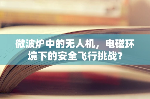 微波炉中的无人机，电磁环境下的安全飞行挑战？