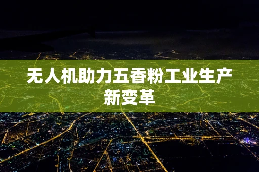 无人机助力五香粉工业生产新变革