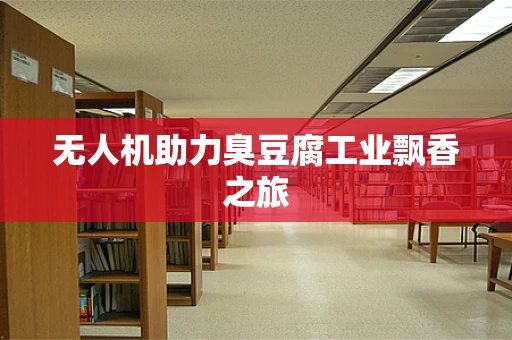 无人机助力臭豆腐工业飘香之旅