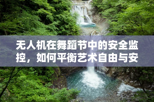 无人机在舞蹈节中的安全监控，如何平衡艺术自由与安全保障？