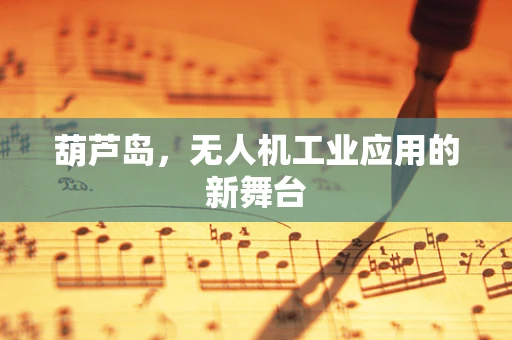 葫芦岛，无人机工业应用的新舞台