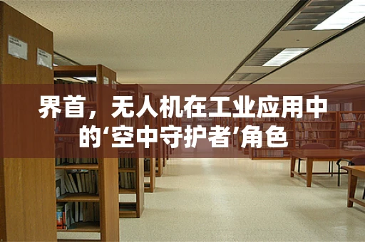 界首，无人机在工业应用中的‘空中守护者’角色