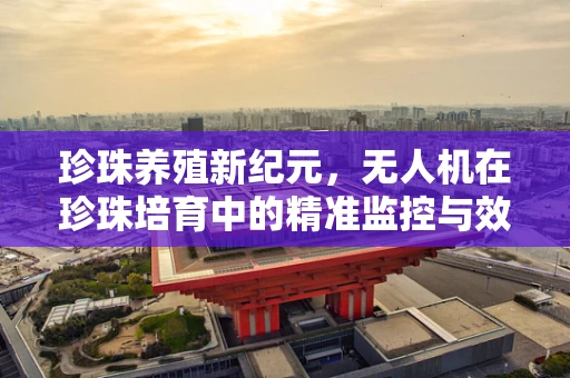 珍珠养殖新纪元，无人机在珍珠培育中的精准监控与效率提升