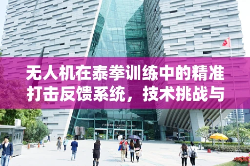 无人机在泰拳训练中的精准打击反馈系统，技术挑战与解决方案？