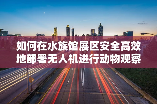 如何在水族馆展区安全高效地部署无人机进行动物观察与互动？