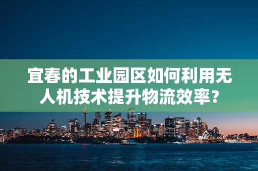 宜春的工业园区如何利用无人机技术提升物流效率？
