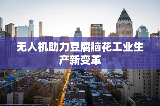 无人机助力豆腐脑花工业生产新变革