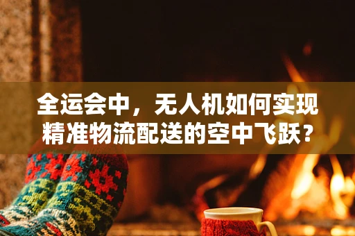 全运会中，无人机如何实现精准物流配送的空中飞跃？