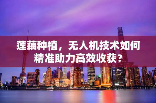 莲藕种植，无人机技术如何精准助力高效收获？