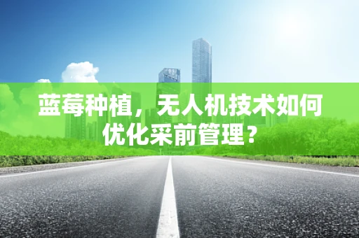 蓝莓种植，无人机技术如何优化采前管理？