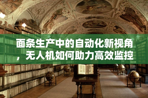 面条生产中的自动化新视角，无人机如何助力高效监控？