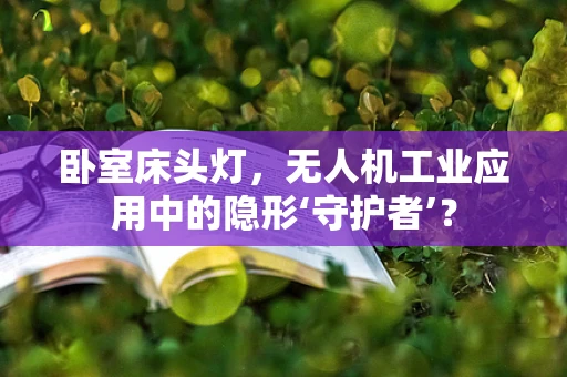 卧室床头灯，无人机工业应用中的隐形‘守护者’？