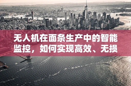 无人机在面条生产中的智能监控，如何实现高效、无损的实时监测？