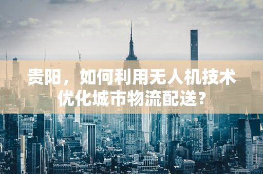 贵阳，如何利用无人机技术优化城市物流配送？