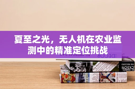 夏至之光，无人机在农业监测中的精准定位挑战