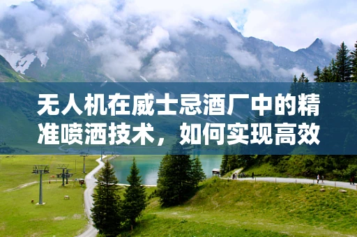 无人机在威士忌酒厂中的精准喷洒技术，如何实现高效与精确的平衡？