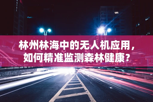 林州林海中的无人机应用，如何精准监测森林健康？