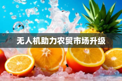 无人机助力农贸市场升级