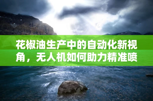 花椒油生产中的自动化新视角，无人机如何助力精准喷洒？