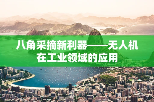 八角采摘新利器——无人机在工业领域的应用