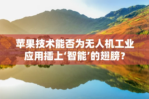 苹果技术能否为无人机工业应用插上‘智能’的翅膀？