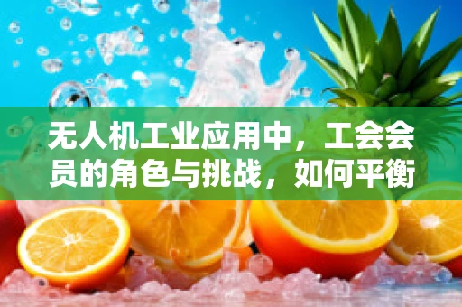 无人机工业应用中，工会会员的角色与挑战，如何平衡技术进步与员工权益？