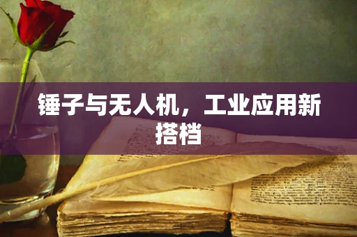 锤子与无人机，工业应用新搭档