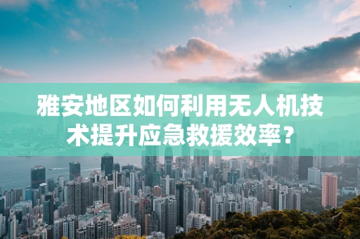 雅安地区如何利用无人机技术提升应急救援效率？