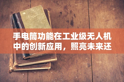 手电筒功能在工业级无人机中的创新应用，照亮未来还是多余之举？