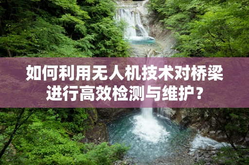 如何利用无人机技术对桥梁进行高效检测与维护？
