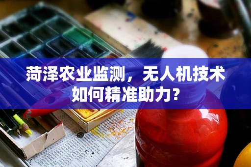 菏泽农业监测，无人机技术如何精准助力？