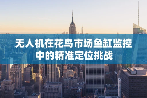 无人机在花鸟市场鱼缸监控中的精准定位挑战